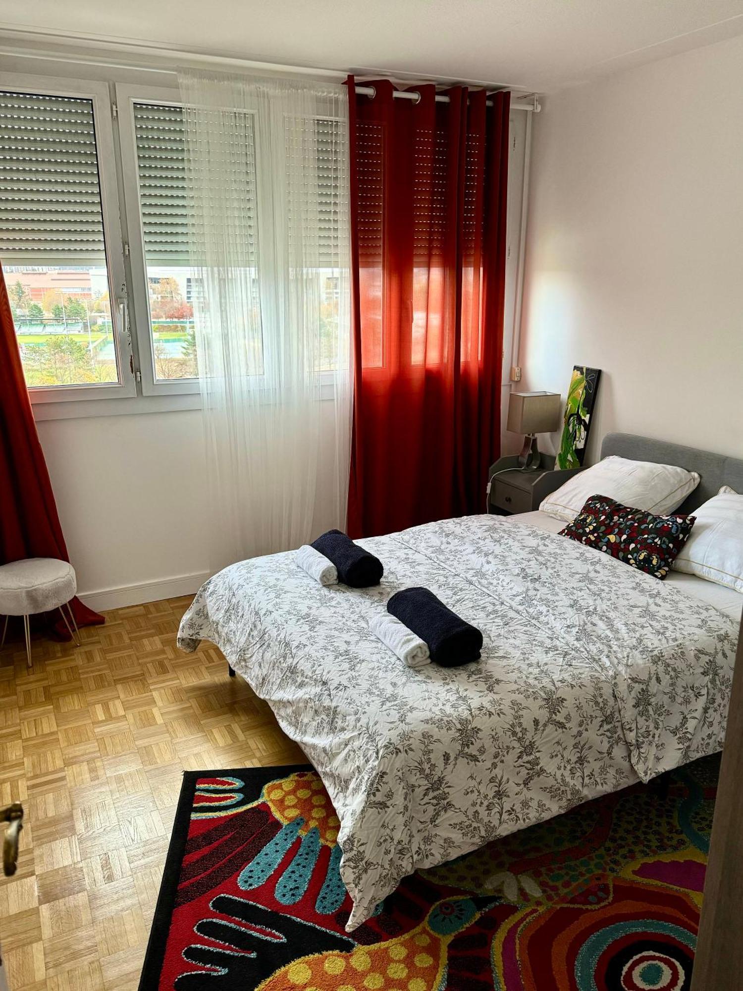 Bergson Top - Appart 80M2, 2 Grandes Chambres, Entierement Renovee Et Equipee, Lumineux, Wifi, Balcon, Calme, Vue Imprenable Saint-Etienne  Zewnętrze zdjęcie